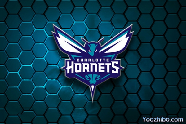2019-2020赛季<a href=/lanqiupindao/hornets/ target=_blank class=infotextkey>黄蜂</a>队队徽